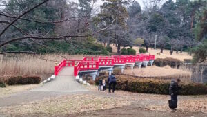 岩槻城址公園内の八つ橋